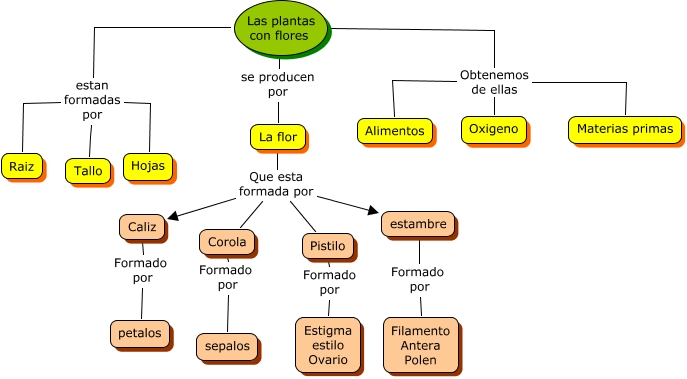 mapa conceptual Las plantas